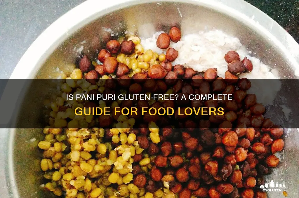 is pani puri gluten free