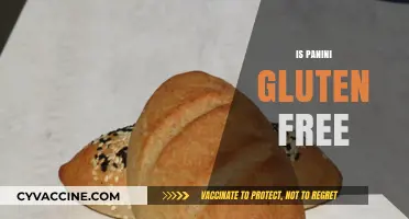 Are Paninis Gluten-Free? A Guide to Safe Sandwich Options