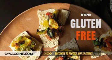 Is Papad Gluten-Free? Unraveling the Truth for a Healthy Diet