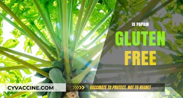 Is Papain Gluten Free? Uncovering the Truth for Celiac Diets