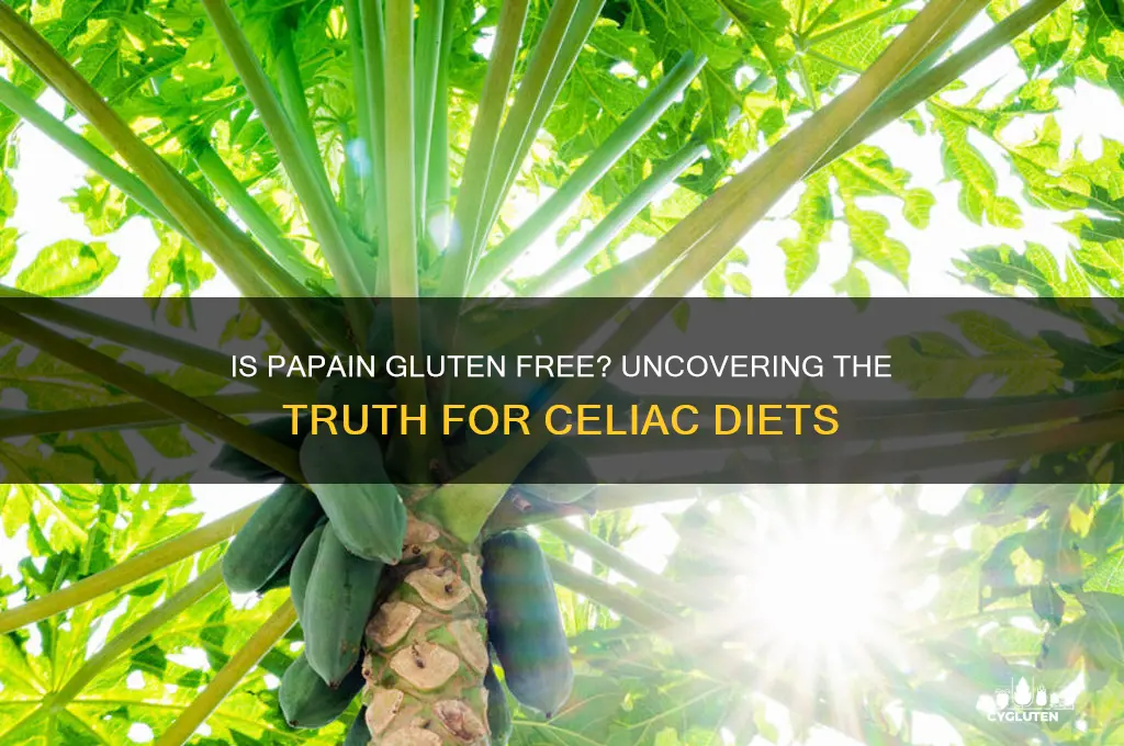 is papain gluten free