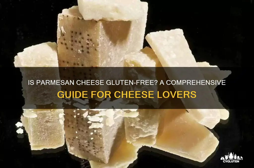 is parmesan cheese gluten free