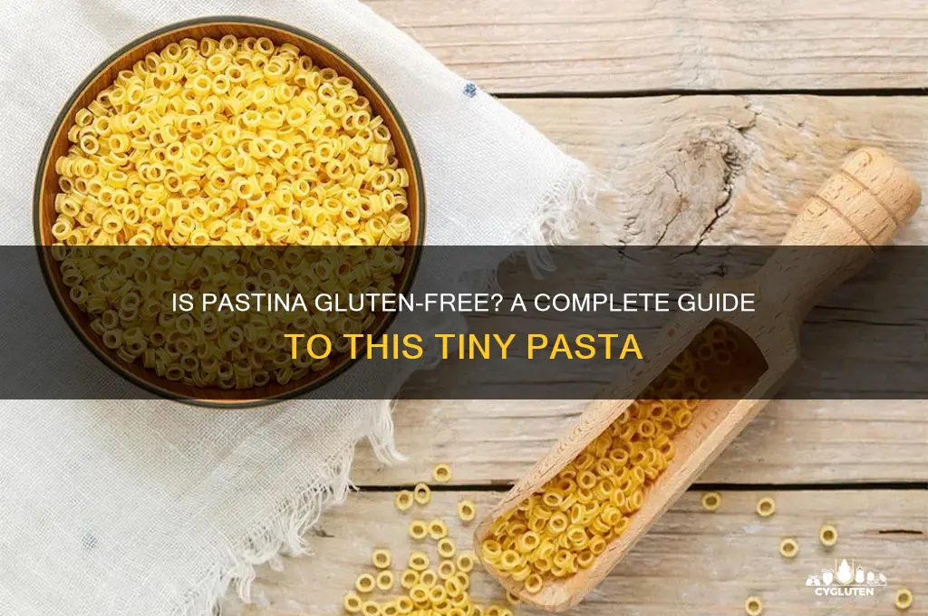 is pastina gluten free