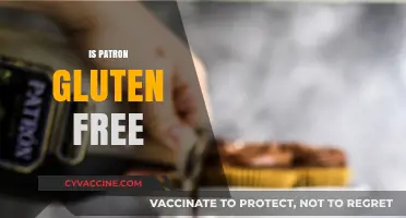 Is Patron Gluten-Free? Uncovering the Truth for Celiac Drinkers