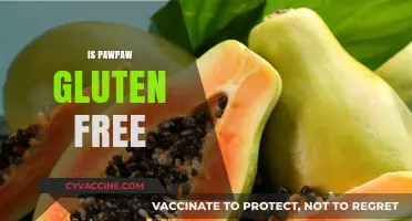 Is Pawpaw Gluten-Free? A Comprehensive Guide to This Tropical Fruit