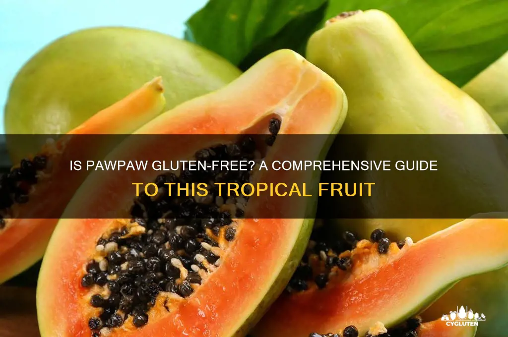 is pawpaw gluten free