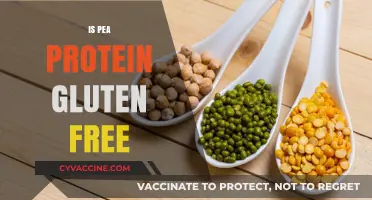 Is Pea Protein Gluten Free? A Complete Guide for Dieters