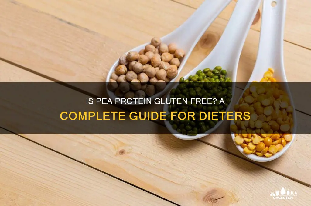 is pea protein gluten free
