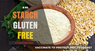Is Pea Starch Gluten-Free? A Comprehensive Guide for Celiac Diets