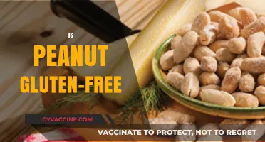 Are Peanuts Gluten-Free? A Clear Answer for Celiac Diets
