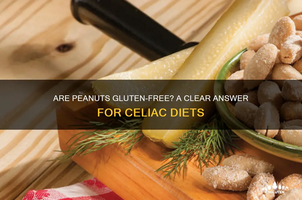 is peanut gluten-free