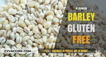 Is Pearled Barley Gluten-Free? Unraveling the Truth for Your Diet