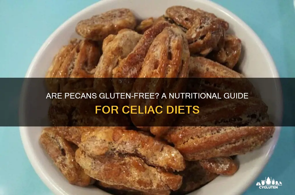 is pecan gluten free