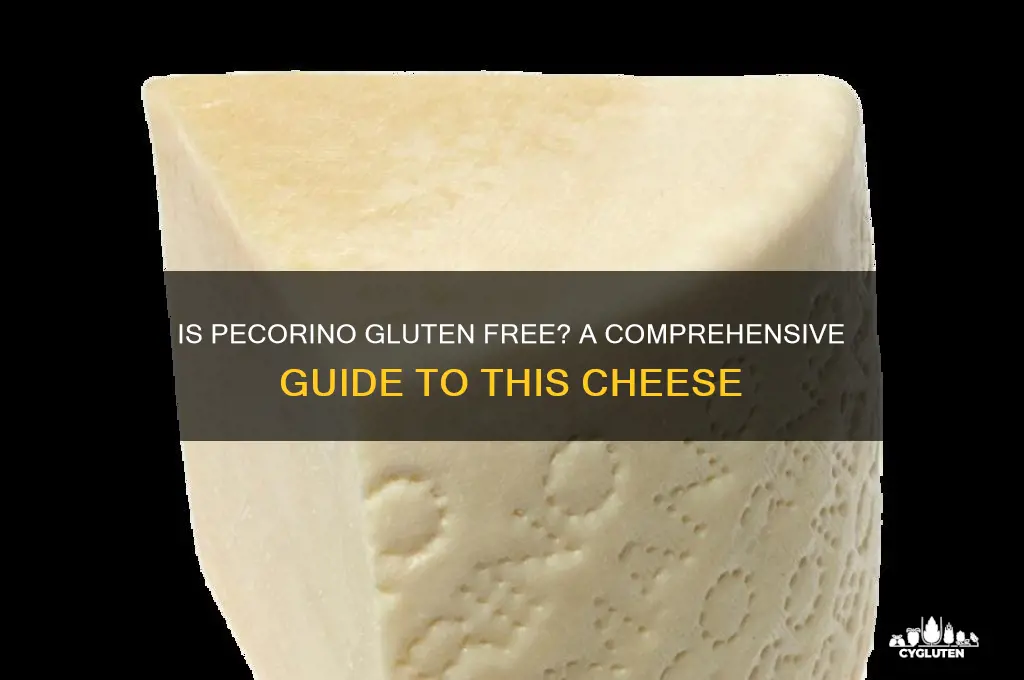 is pecorino gluten free