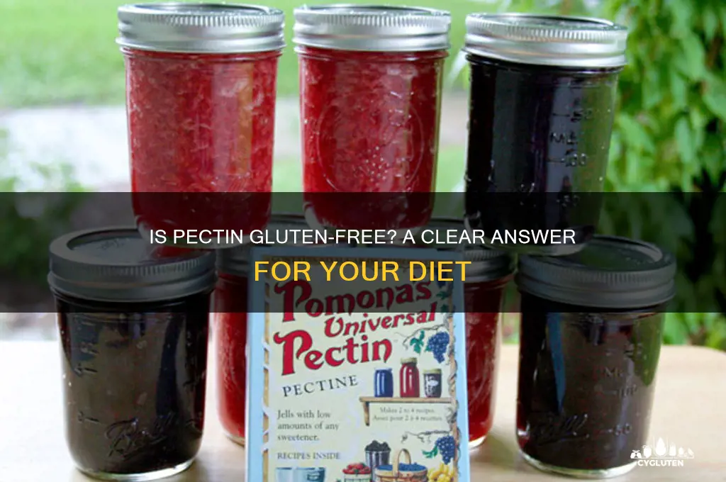 is pectin gluten-free
