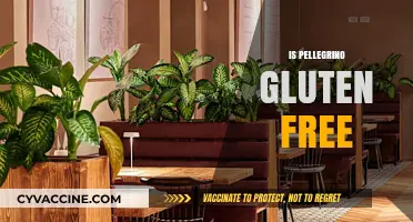 Is Pellegrino Gluten Free? Unveiling the Sparkling Truth for Celiacs