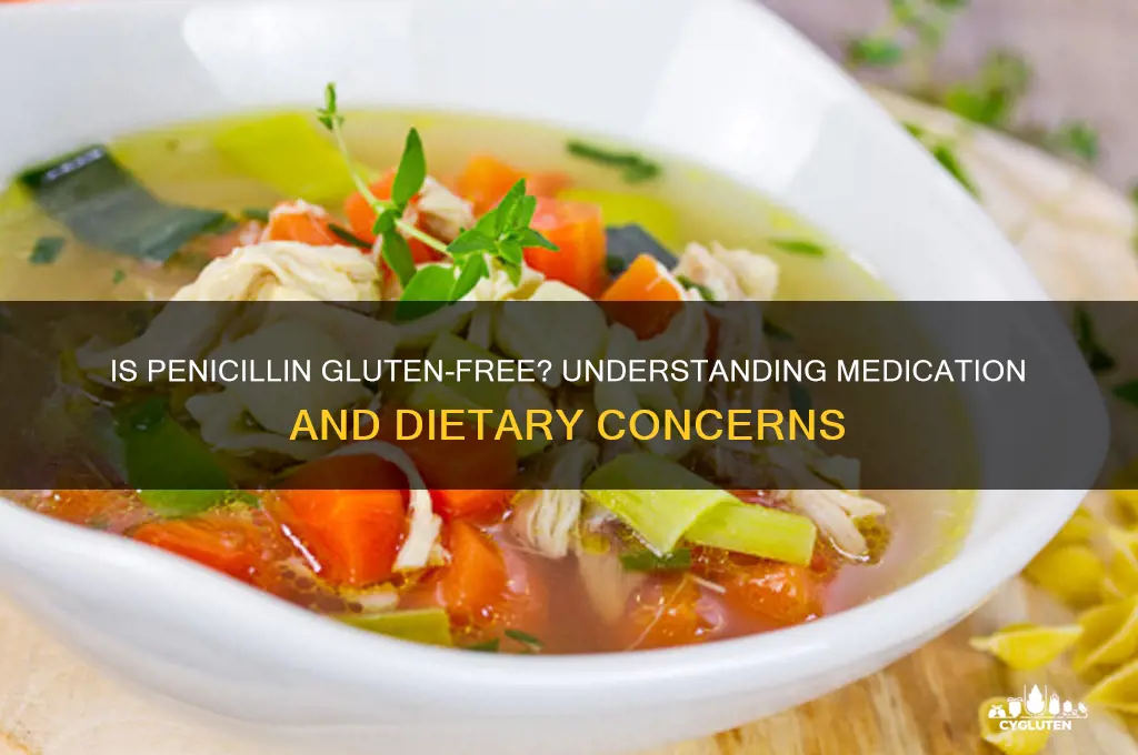 is penicillin gluten free