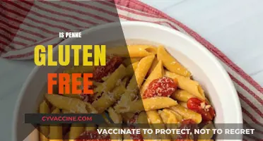 Is Penne Gluten-Free? A Guide to Safe Pasta Options