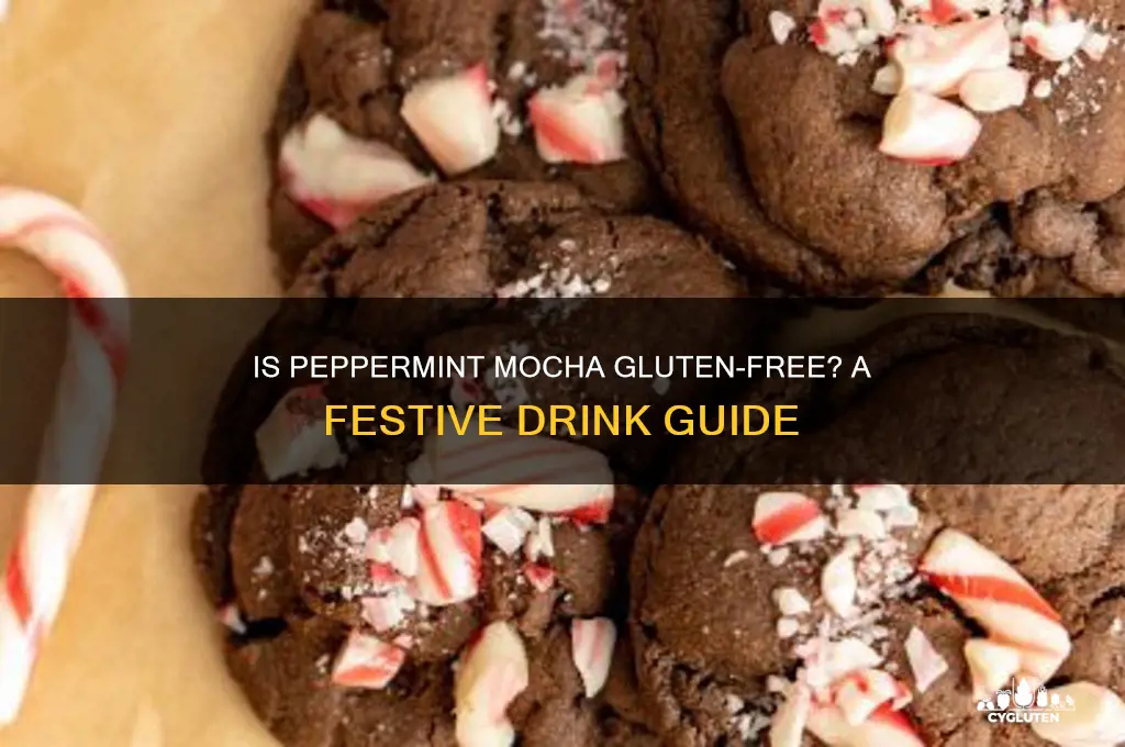 is peppermint mocha gluten free