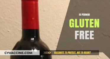 Is Pernod Gluten-Free? A Complete Guide for Celiac Drinkers