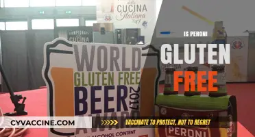 Is Peroni Gluten-Free? Uncovering the Truth About This Italian Beer