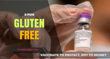 Is Pfizer Gluten-Free? Exploring Medication Safety for Celiac Patients