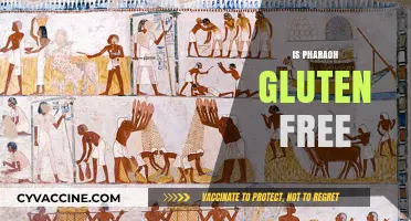 Is Pharaoh Gluten Free? Unraveling Ancient Egyptian Diet Secrets