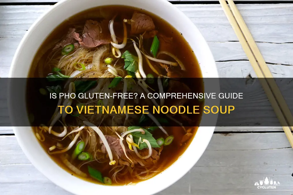 is pho gluten-free