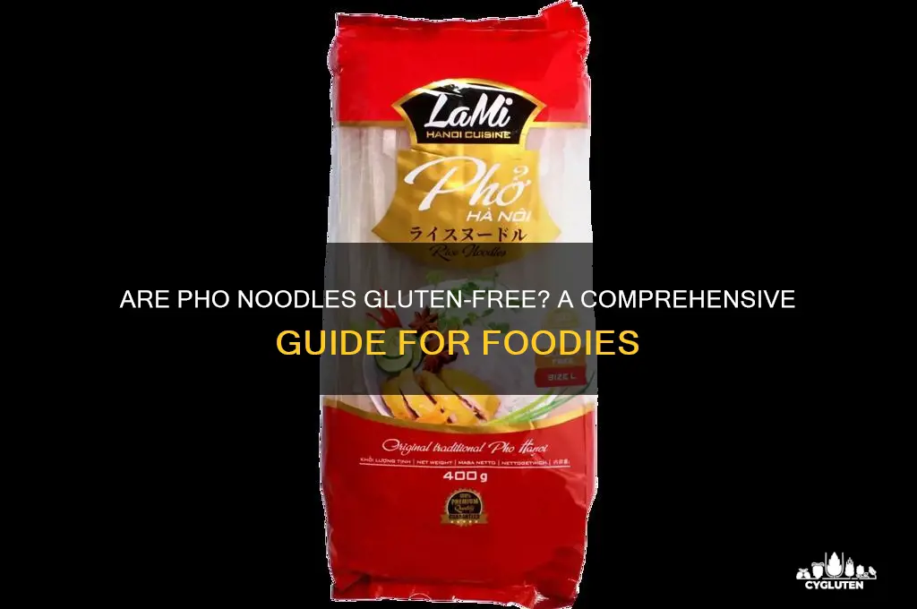 is pho noodles gluten free