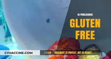 Is Pholicious Gluten-Free? A Complete Guide to Your Dietary Needs