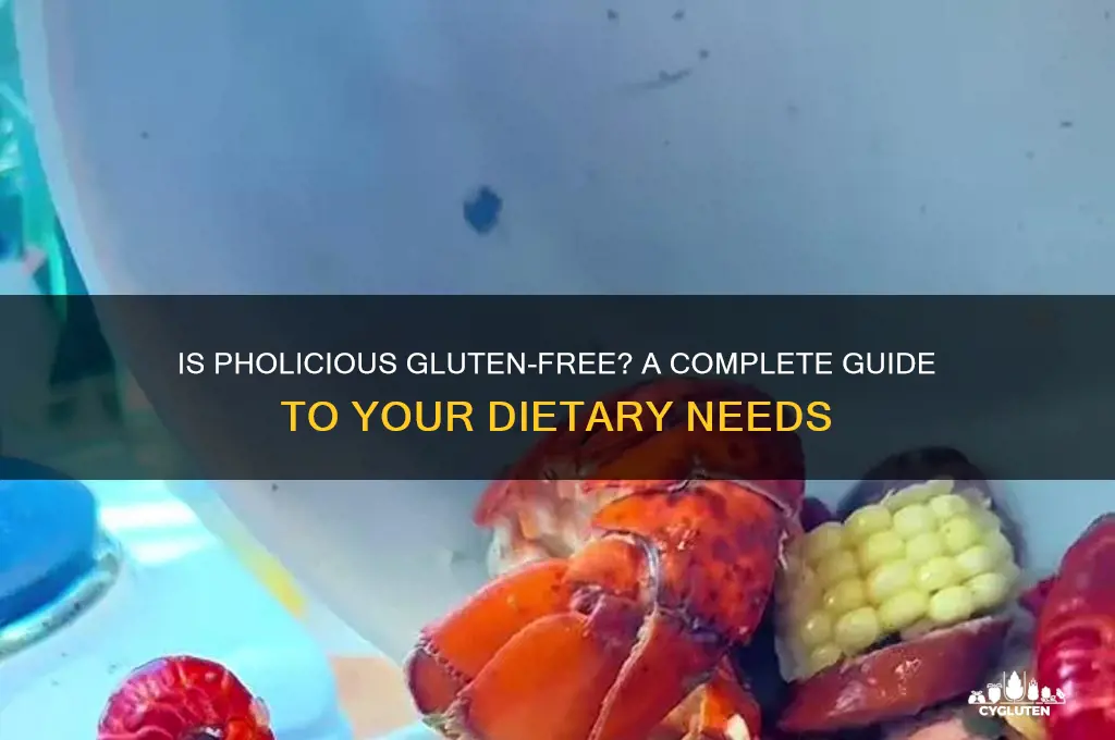 is pholicious gluten free