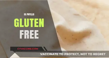 Is Phyllo Dough Gluten-Free? Unraveling the Truth for Dietary Needs