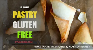 Is Phyllo Pastry Gluten-Free? A Comprehensive Guide for Dieters