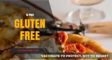 Is Pico Gluten Free? A Complete Guide to Ingredients and Safety