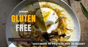 Is Pilenta Gluten-Free? A Comprehensive Guide to This Popular Ingredient