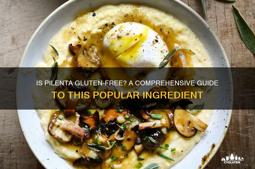 is pilenta gluten free