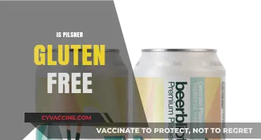 Is Pilsner Gluten-Free? Exploring Beer Options for Celiac Diets