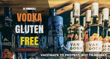 Is Pinnacle Vodka Gluten-Free? A Complete Guide for Drinkers