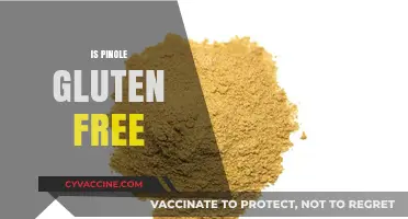 Is Pinole Gluten-Free? A Complete Guide to This Ancient Superfood