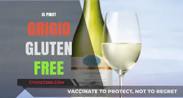 Is Pinot Grigio Gluten-Free? A Complete Guide for Wine Lovers