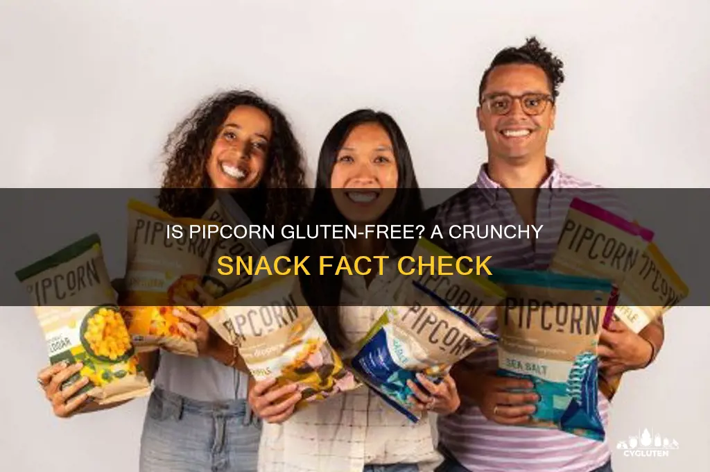 is pipcorn gluten free
