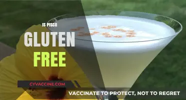 Is Pisco Gluten-Free? A Guide to This Popular Spirit