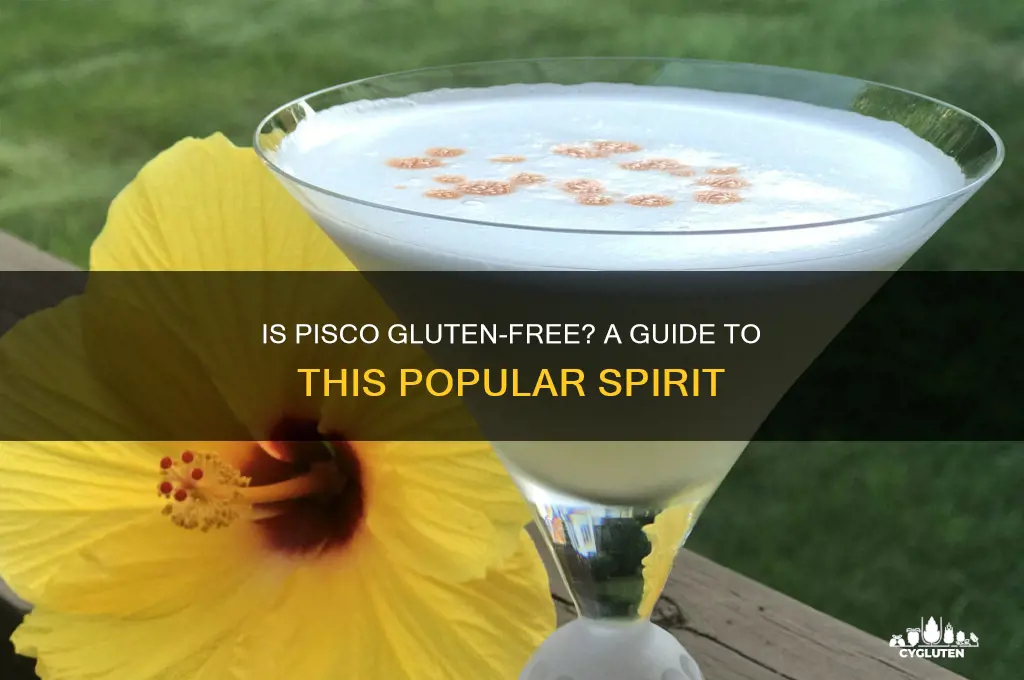 is pisco gluten free