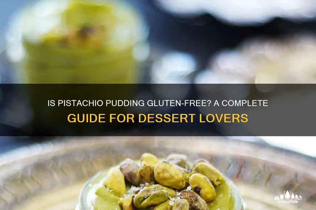 is pistachio pudding gluten free