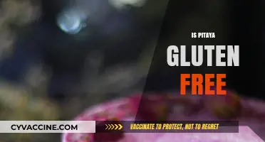 Is Pitaya Gluten-Free? Uncovering the Truth About Dragon Fruit