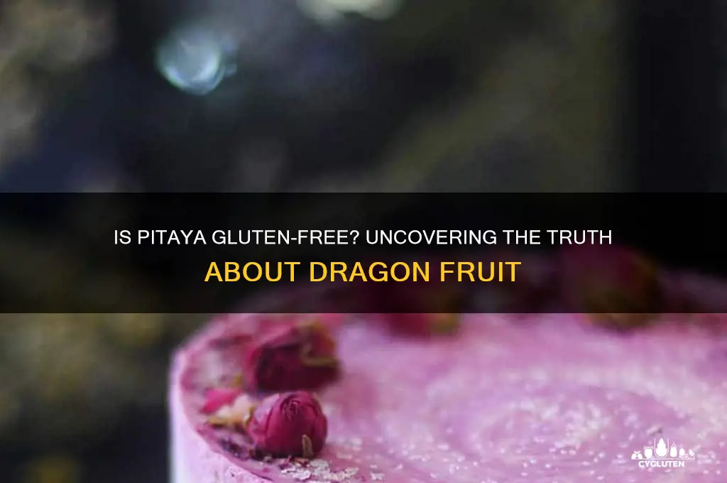 is pitaya gluten free