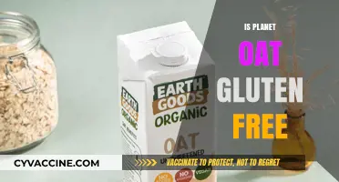 Is Planet Oat Gluten-Free? Unraveling the Truth for Your Diet