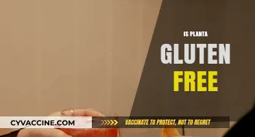 Is Planta Gluten-Free? A Comprehensive Guide to Your Dietary Needs