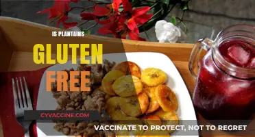 Are Plantains Gluten-Free? A Comprehensive Guide for Celiac Diets