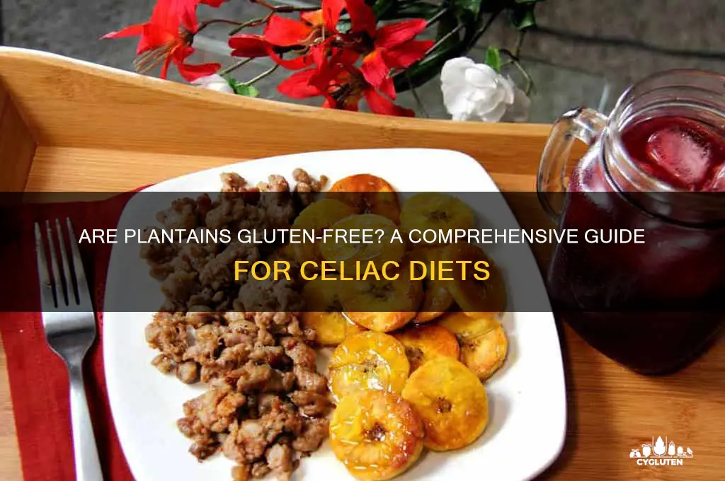 is plantains gluten free